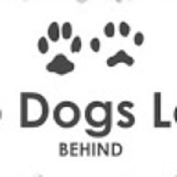 Meet your Posher, T and yi - Picture 1 of 1